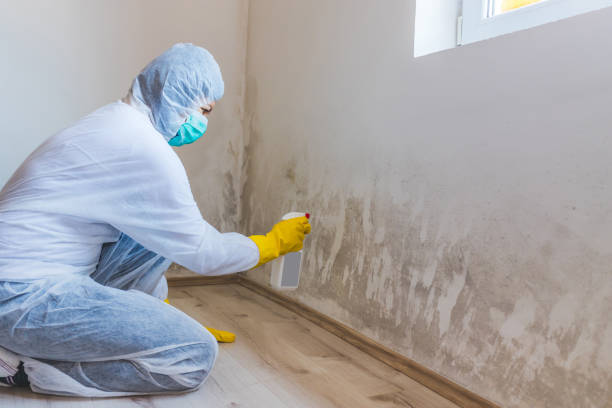 Bathroom Mold Removal assessment in Newton bathroom